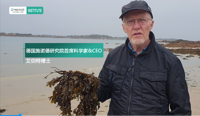 海藻提取物課堂